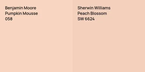 058 Pumpkin Mousse vs SW 6624 Peach Blossom