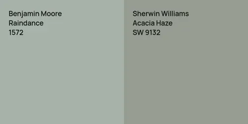 1572 Raindance vs SW 9132 Acacia Haze