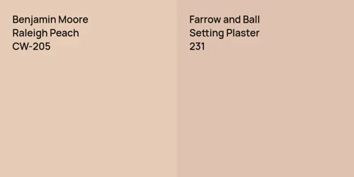 CW-205 Raleigh Peach vs 231 Setting Plaster