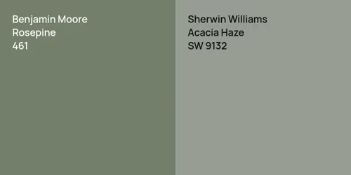 461 Rosepine vs SW 9132 Acacia Haze