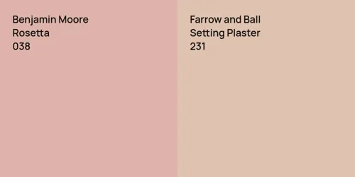 038 Rosetta vs 231 Setting Plaster