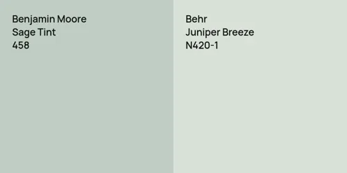 458 Sage Tint vs N420-1 Juniper Breeze