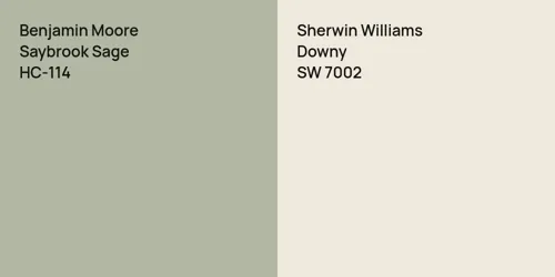 HC-114 Saybrook Sage vs SW 7002 Downy