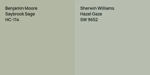 HC-114 Saybrook Sage vs SW 9652 Hazel Gaze