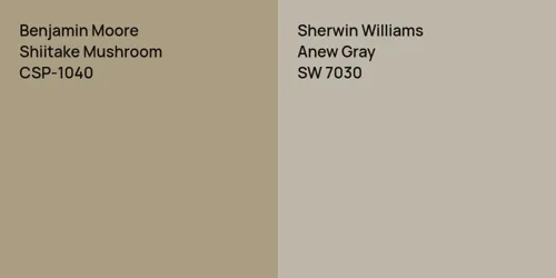 CSP-1040 Shiitake Mushroom vs SW 7030 Anew Gray