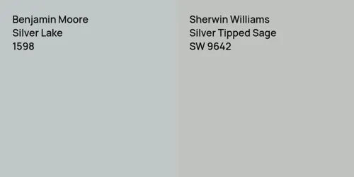 1598 Silver Lake vs SW 9642 Silver Tipped Sage