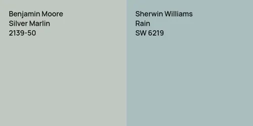 2139-50 Silver Marlin vs SW 6219 Rain