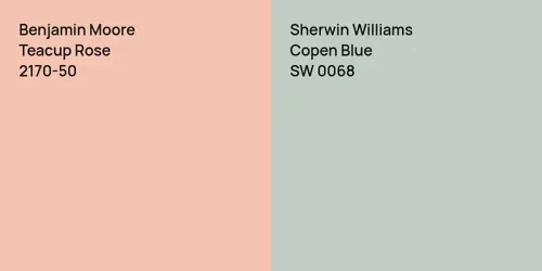 2170-50 Teacup Rose vs SW 0068 Copen Blue