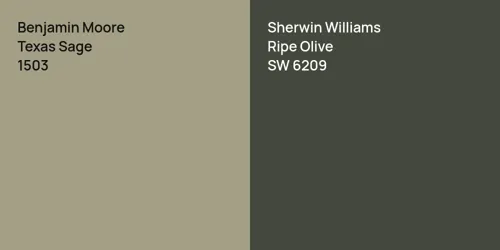 1503 Texas Sage vs SW 6209 Ripe Olive