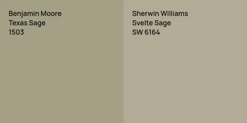 1503 Texas Sage vs SW 6164 Svelte Sage