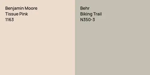 1163 Tissue Pink vs N350-3 Biking Trail