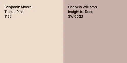 1163 Tissue Pink vs SW 6023 Insightful Rose