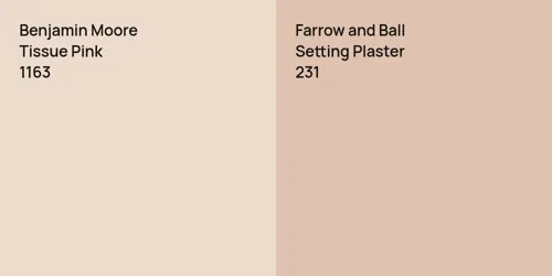 1163 Tissue Pink vs 231 Setting Plaster