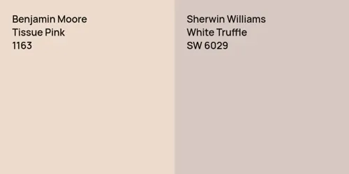 1163 Tissue Pink vs SW 6029 White Truffle