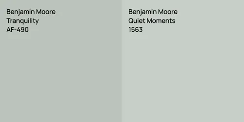 AF-490 Tranquility vs 1563 Quiet Moments