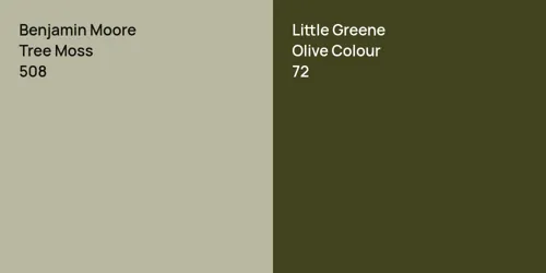 508 Tree Moss vs 72 Olive Colour