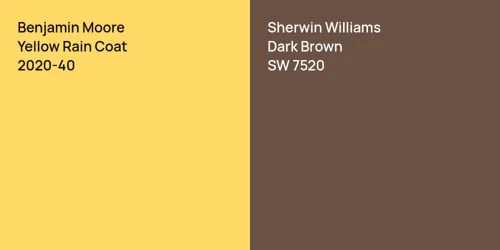 2020-40 Yellow Rain Coat vs SW 7520 Dark Brown