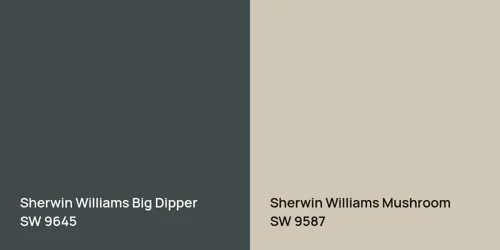 SW 9645 Big Dipper vs SW 9587 Mushroom