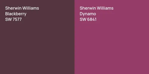 SW 7577 Blackberry vs SW 6841 Dynamo