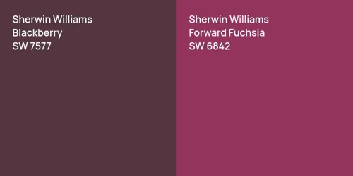 SW 7577 Blackberry vs SW 6842 Forward Fuchsia