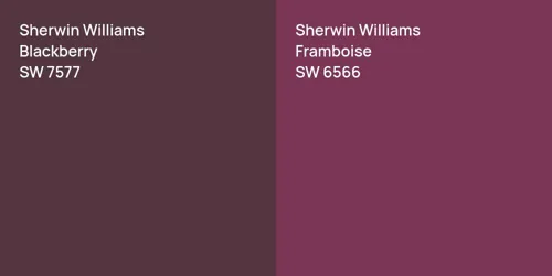 SW 7577 Blackberry vs SW 6566 Framboise