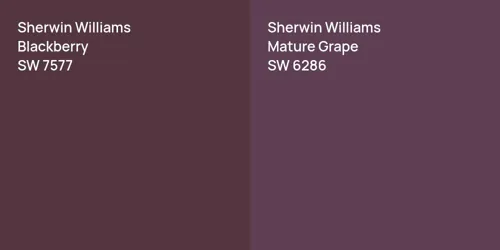 SW 7577 Blackberry vs SW 6286 Mature Grape