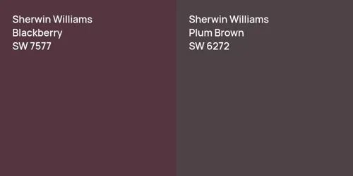 SW 7577 Blackberry vs SW 6272 Plum Brown