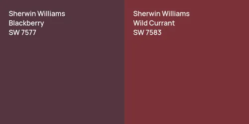 SW 7577 Blackberry vs SW 7583 Wild Currant