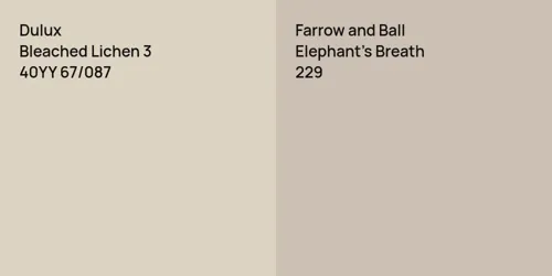 40YY 67/087 Bleached Lichen 3 vs 229 Elephant's Breath