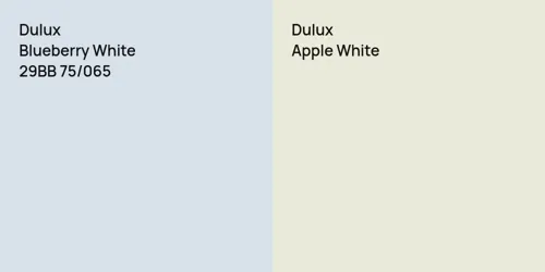 29BB 75/065 Blueberry White vs null Apple White