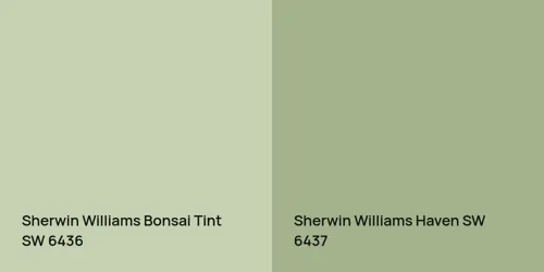 SW 6436 Bonsai Tint vs SW 6437 Haven