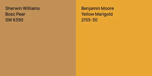 SW 6390 Bosc Pear vs 2155-30 Yellow Marigold