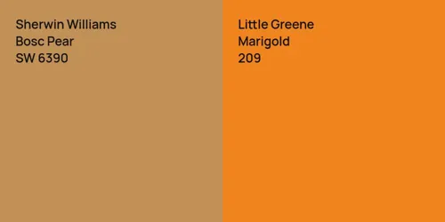 SW 6390 Bosc Pear vs 209 Marigold