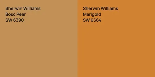 SW 6390 Bosc Pear vs SW 6664 Marigold