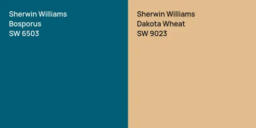 SW 6503 Bosporus vs SW 9023 Dakota Wheat