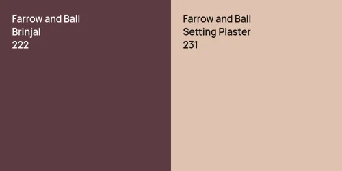 222 Brinjal vs 231 Setting Plaster