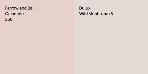 230 Calamine vs 30YR 73/034 Wild Mushroom 5