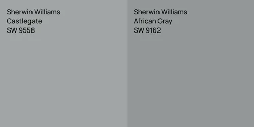 SW 9558 Castlegate vs SW 9162 African Gray