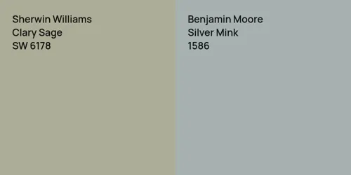 SW 6178 Clary Sage vs 1586 Silver Mink