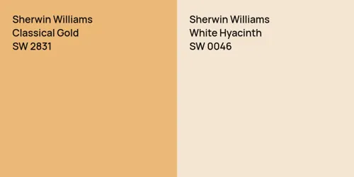 SW 2831 Classical Gold vs SW 0046 White Hyacinth