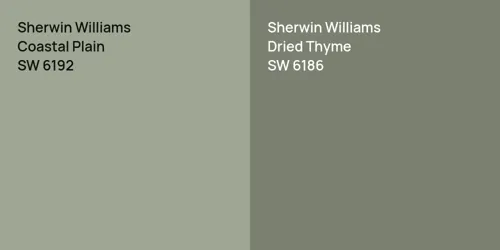 SW 6192 Coastal Plain vs SW 6186 Dried Thyme