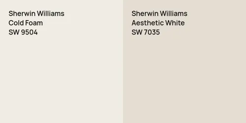 SW 9504 Cold Foam vs SW 7035 Aesthetic White