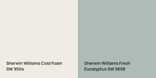 SW 9504 Cold Foam vs SW 9658 Fresh Eucalyptus