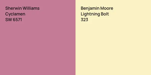 SW 6571 Cyclamen vs 323 Lightning Bolt