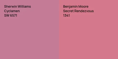 SW 6571 Cyclamen vs 1341 Secret Rendezvous