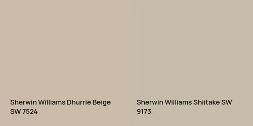 SW 7524 Dhurrie Beige vs SW 9173 Shiitake