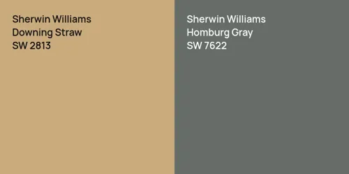 SW 2813 Downing Straw vs SW 7622 Homburg Gray