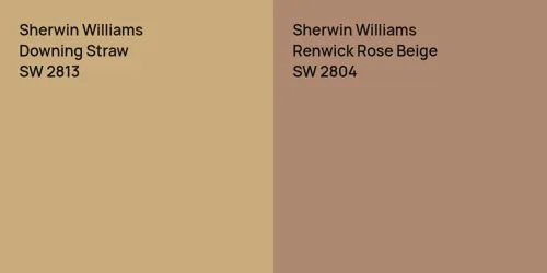 SW 2813 Downing Straw vs SW 2804 Renwick Rose Beige