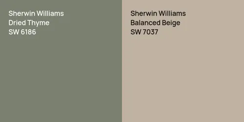 SW 6186 Dried Thyme vs SW 7037 Balanced Beige