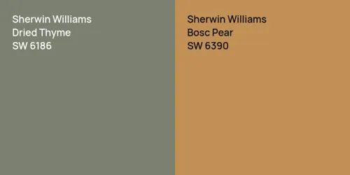 SW 6186 Dried Thyme vs SW 6390 Bosc Pear